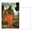 St. Paul, 1520 by Vittore Carpaccio