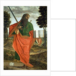 St. Paul, 1520 by Vittore Carpaccio