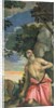 St. Jerome in Penitence by Veronese
