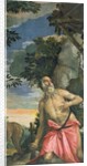 St. Jerome in Penitence by Veronese