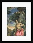 St. Jerome in Penitence by Veronese