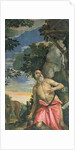St. Jerome in Penitence by Veronese