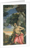 St. Jerome in Penitence by Veronese