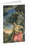 St. Jerome in Penitence by Veronese