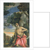 St. Jerome in Penitence by Veronese