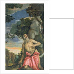 St. Jerome in Penitence by Veronese