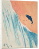 Salmon Leap by George Adamson
