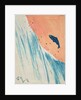 Salmon Leap by George Adamson