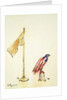American Eagle acquires US flag colouration, 1985 by George Adamson