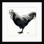 The Hen, 1950s by George Adamson