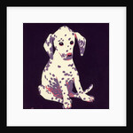 Dalmation Puppy, 1950s by George Adamson