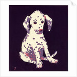 Dalmation Puppy, 1950s by George Adamson