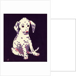 Dalmation Puppy, 1950s by George Adamson