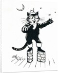Puss in boots by George Adamson
