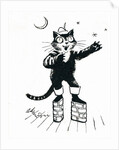 Puss in boots by George Adamson