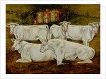 Charolais Bulls, Dippenhall, Farnham by Gareth Lloyd Ball