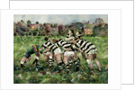 A Rugby Match, 1989 by Gareth Lloyd Ball