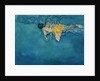 Swimmer in Yellow, 1990 by Gareth Lloyd Ball