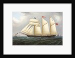 The Schooner 'Edith', 1890-1900 by Thomas Chidgey