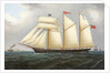 The Schooner 'Edith', 1890-1900 by Thomas Chidgey