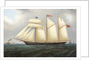 The Schooner 'Edith', 1890-1900 by Thomas Chidgey
