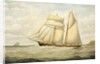 Schooner Saltram, 1890-1900 by Thomas Chidgey