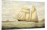 Schooner Saltram, 1890-1900 by Thomas Chidgey