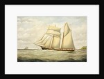 Schooner Saltram, 1890-1900 by Thomas Chidgey