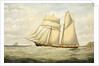 Schooner Saltram, 1890-1900 by Thomas Chidgey