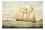 Schooner Saltram, 1890-1900 by Thomas Chidgey