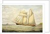 Schooner Saltram, 1890-1900 by Thomas Chidgey