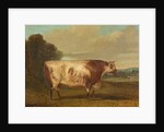 A Bull, 1862 by Richard Whitford