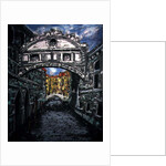 Venice 9, 1993 by Geoffrey Robinson