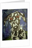 Dog 1, 1994 by Geoffrey Robinson