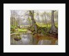 Woodland Pond, 1890 by Peder Monsted