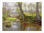 Woodland Pond, 1890 by Peder Monsted