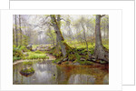 Woodland Pond, 1890 by Peder Monsted