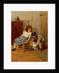 Playing with Kitty by John Morgan