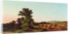 A Surrey Cornfield, 1865 by Walter Williams