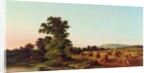 A Surrey Cornfield, 1865 by Walter Williams