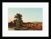 A Surrey Cornfield, 1865 by Walter Williams