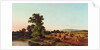 A Surrey Cornfield, 1865 by Walter Williams