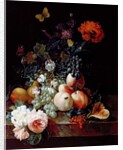 Still Life by Johann Amandus Winck