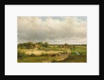 Extensive Dutch Landscape by Willem Vester