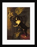 Cat and Dead Game by Alexandre-Francois Desportes