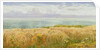 Summer on the Cliffs, 1891 by John Brett