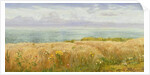 Summer on the Cliffs, 1891 by John Brett