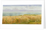 Summer on the Cliffs, 1891 by John Brett