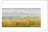 Summer on the Cliffs, 1891 by John Brett