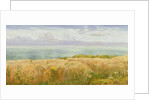 Summer on the Cliffs, 1891 by John Brett